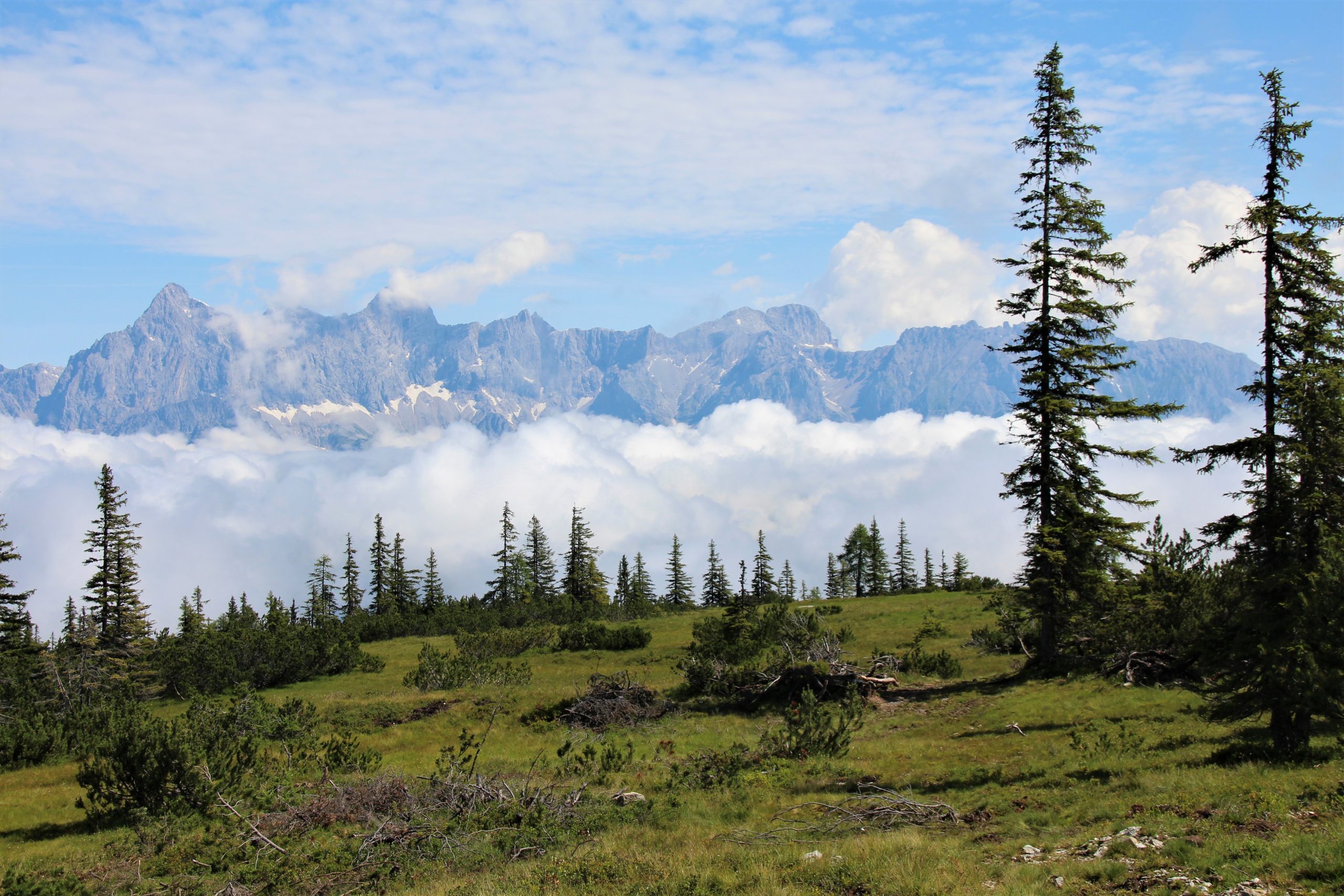 green meadow, clouds and mountains